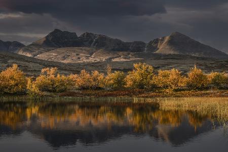 Golden autumn in Norway