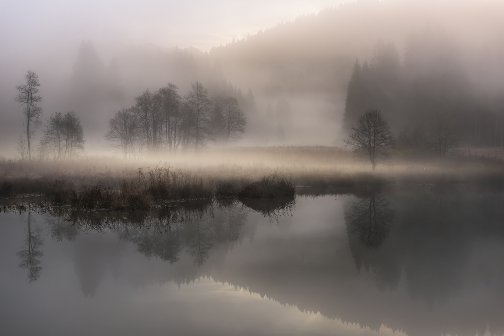 Mystic Morning von Nina Pauli