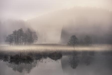 Mystic morning II