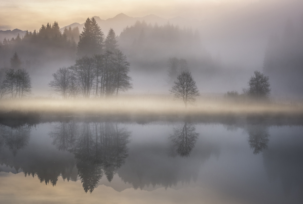 Mystic Morning III von Nina Pauli