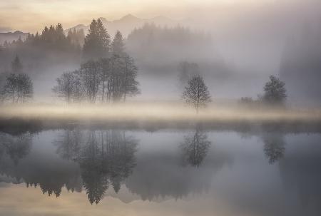 Mystic Morning III