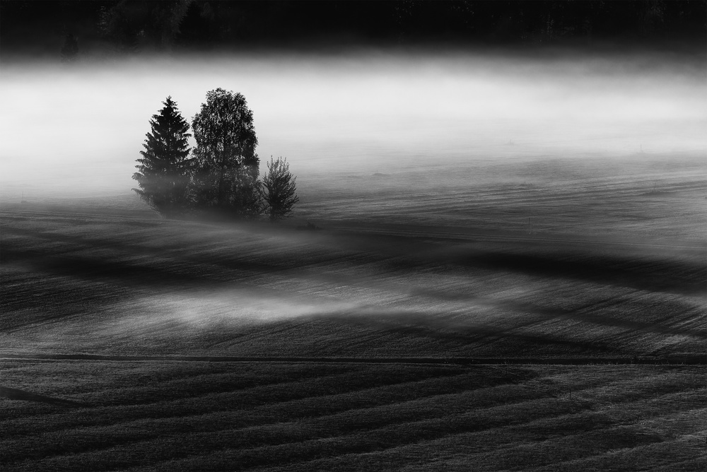 September morning... von Nina Pauli