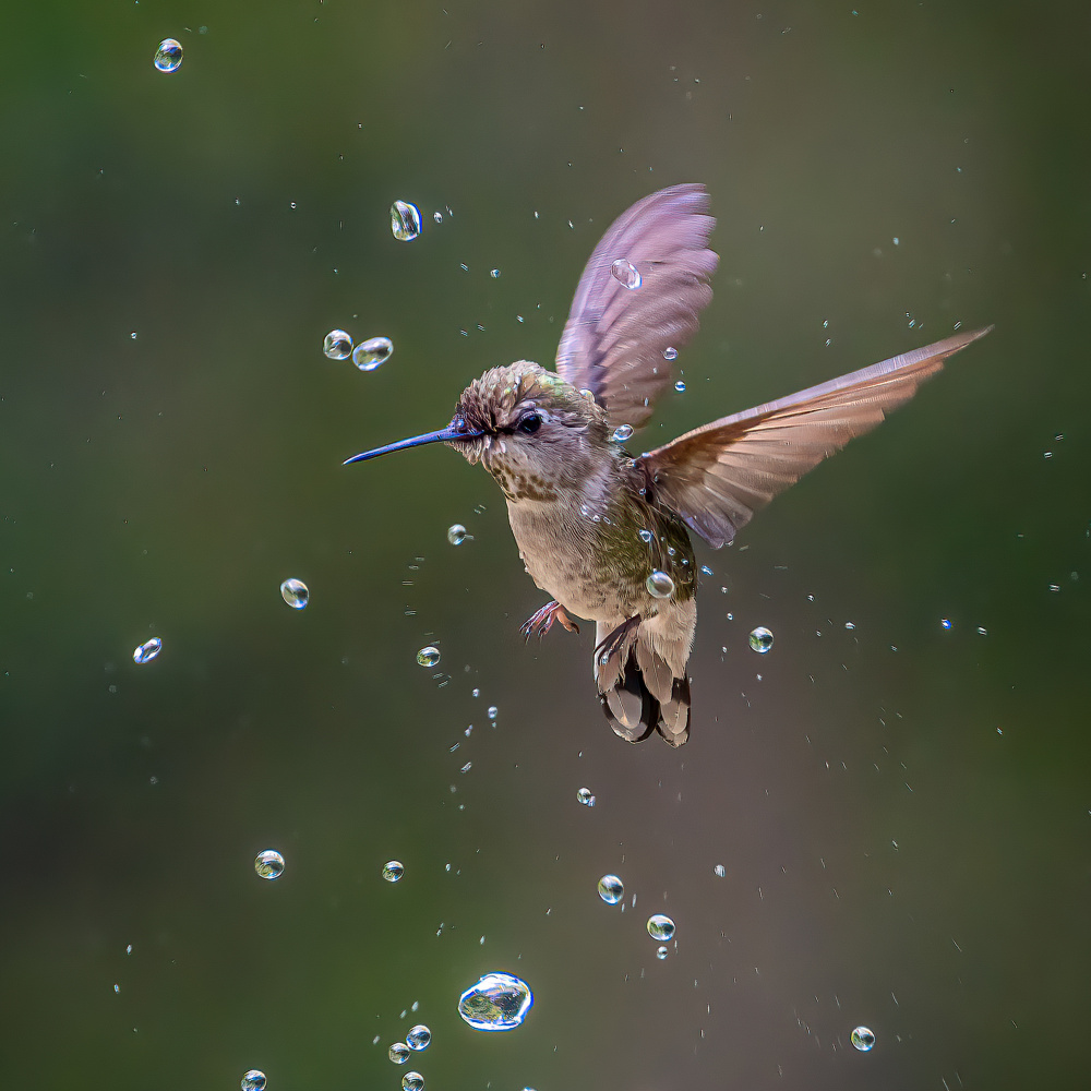 Through Water Drops von Ning Lin