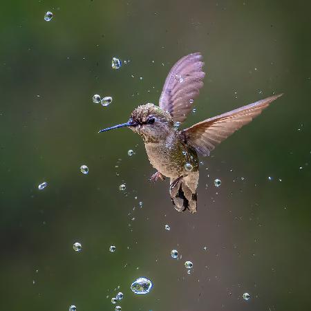 Through Water Drops