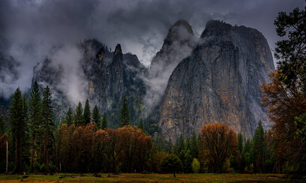 Yosemite after rain von Ning Lin