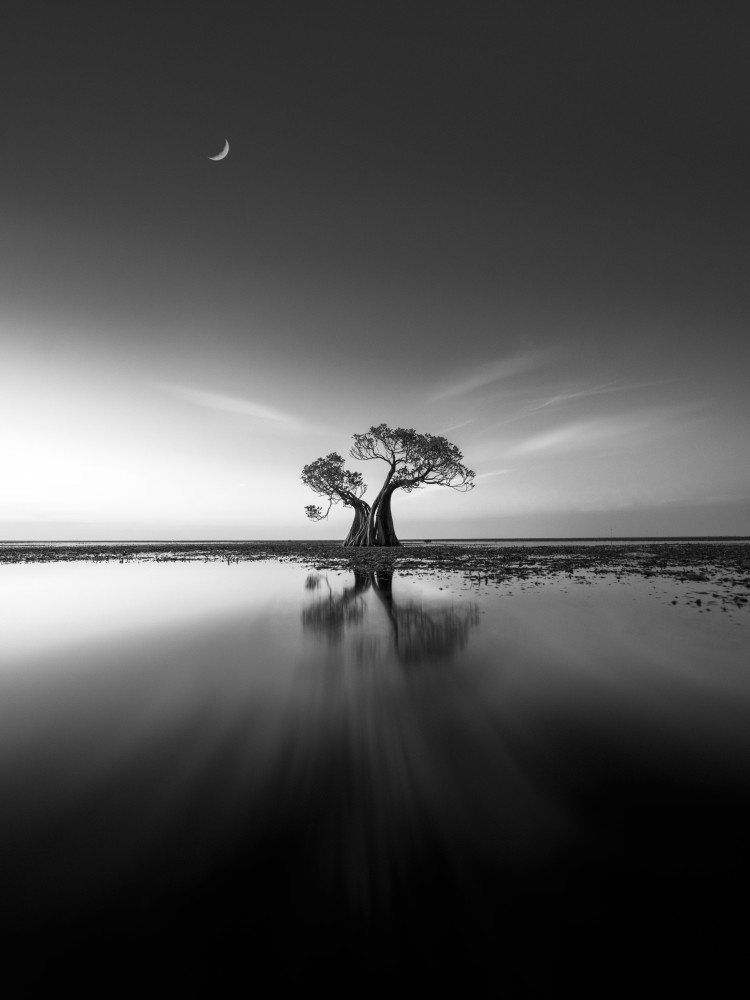 Lonely  Tree von NingYun Ye