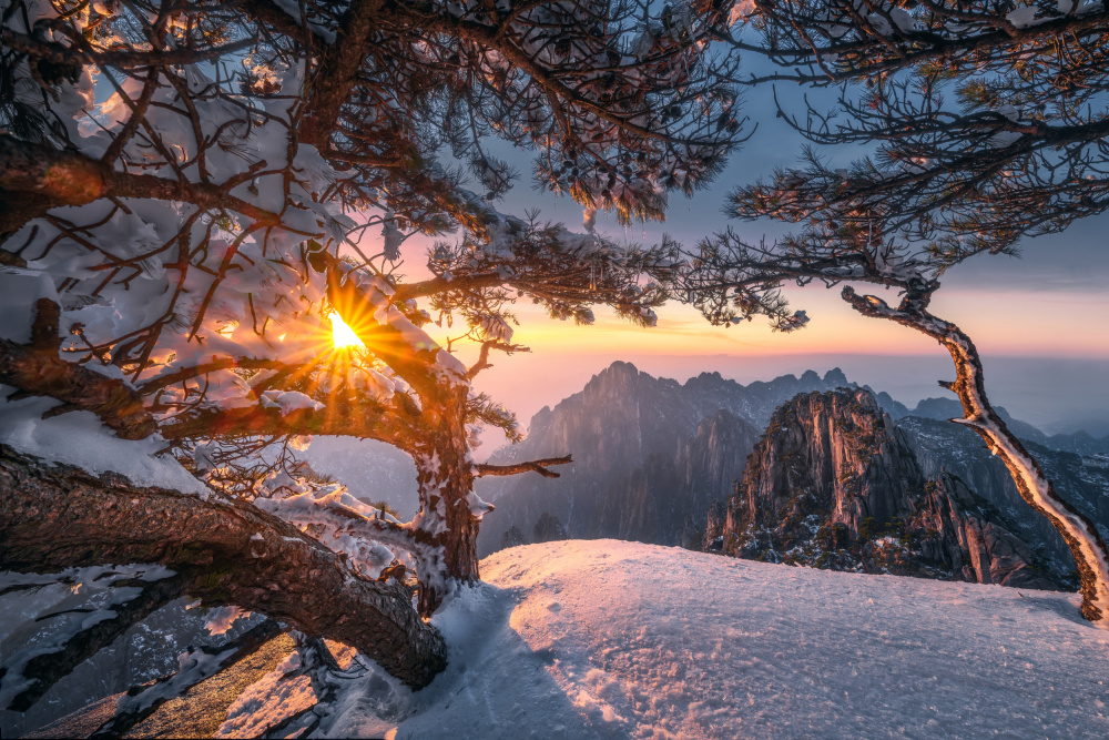 Yellow Mountain and Strange Pine after Snow von NingYun Ye