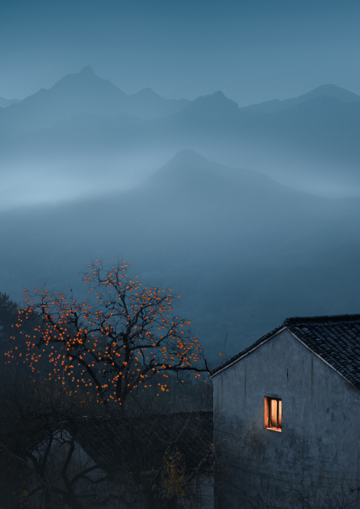 Persimmon tree and room lights von NingYun Ye