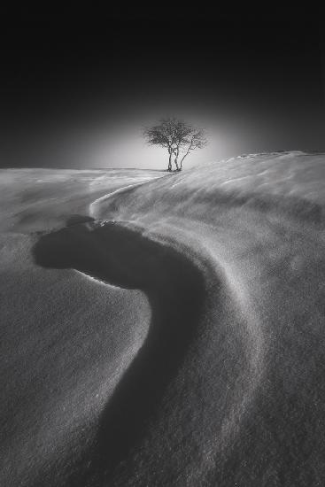 Shadow of the S shape on the snow