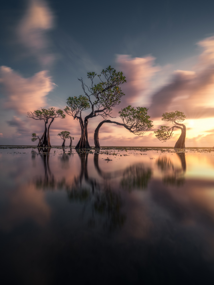 Strange trees von NingYun Ye