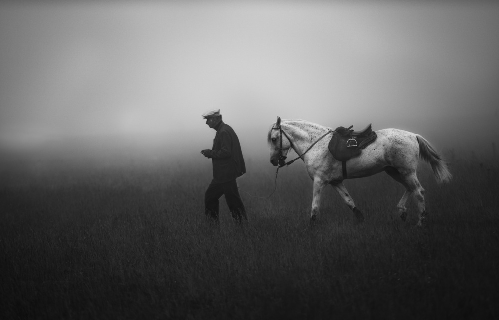 Best Friend von Niyazi Gürgen