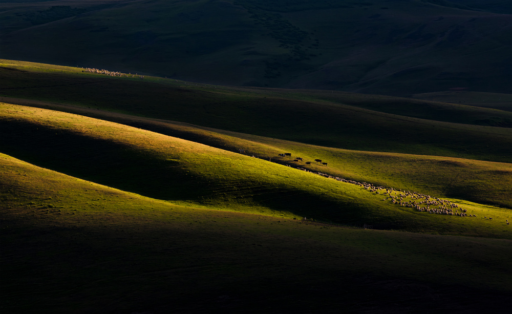 The Light and Shadow von Niyazi Gürgen