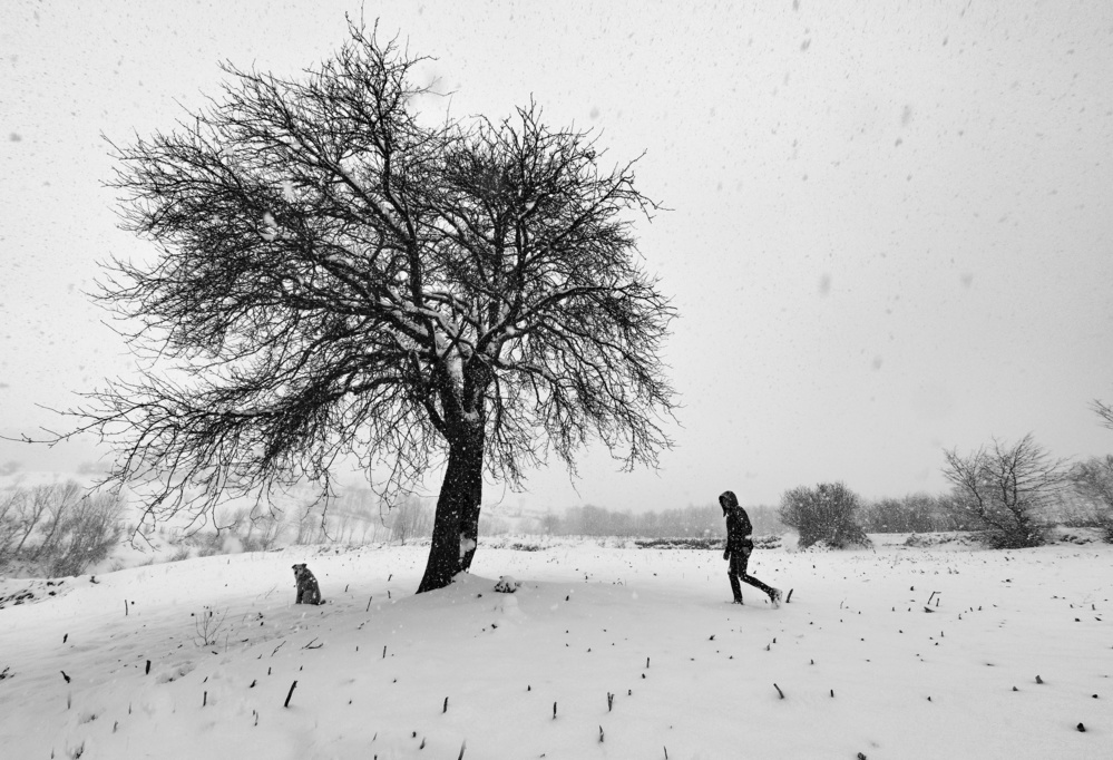 A Cold Day von Niyazi Gürgen