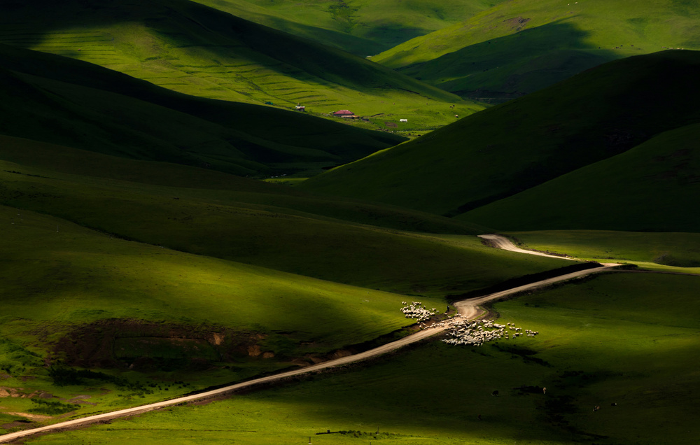 Light of Nature von Niyazi Gürgen