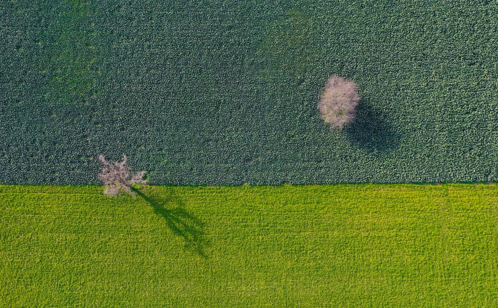 Natural Balance von Niyazi Gürgen