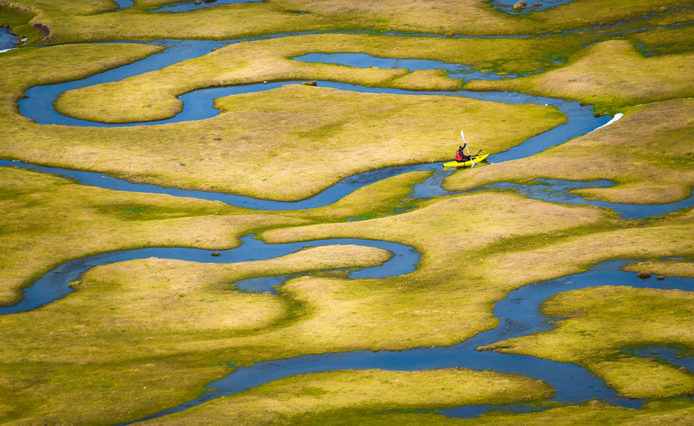 Nature and Freedom von Niyazi Gürgen