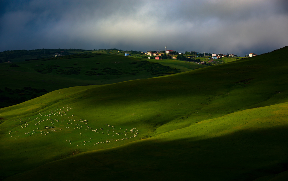 Plateau Life von Niyazi Gürgen