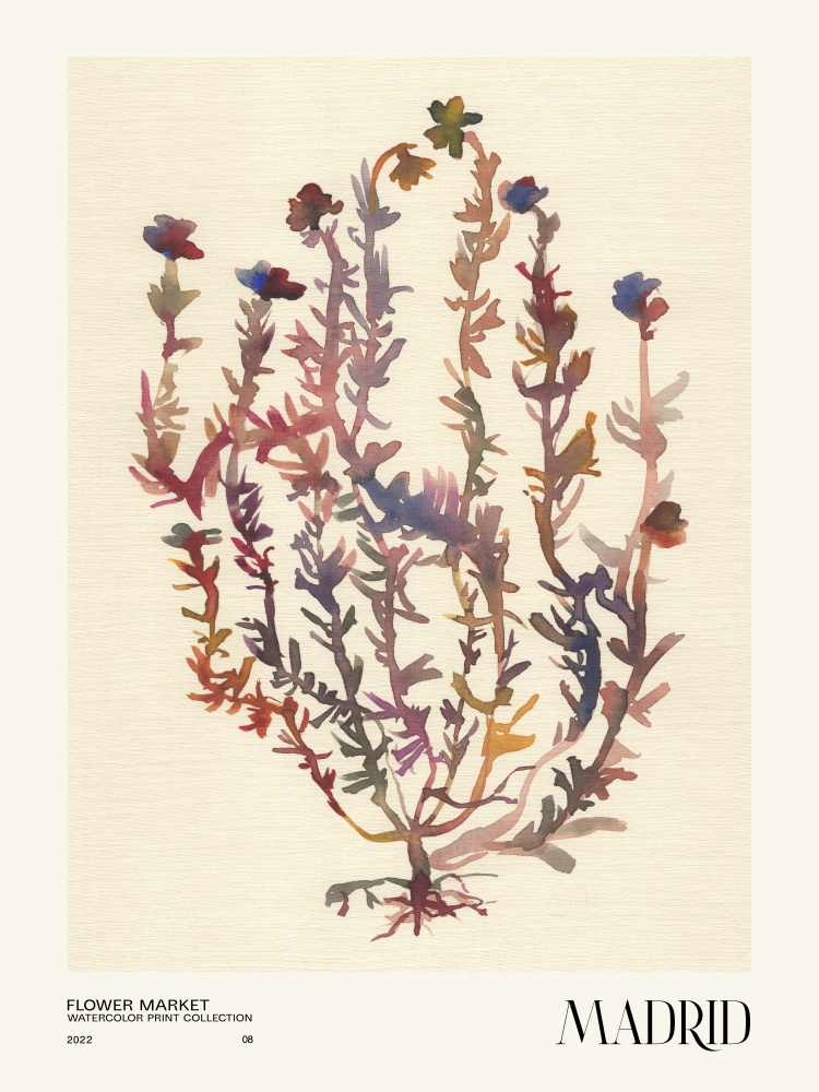 Watercolor print collection. Flower market - Madrid von NKTN