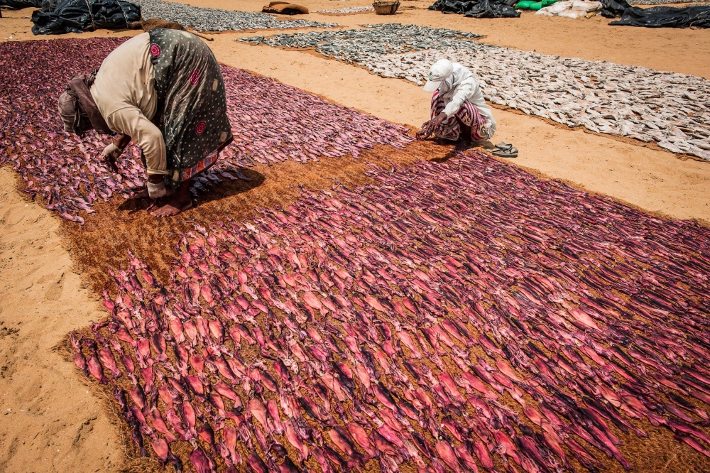 The Fishermen of Negombo, Sri Lanka - A life of Sacrifice © Nora de Angelli / www.noraphotos.com von Nora De Angelli