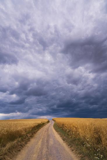 Towards the storm