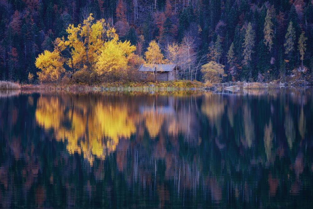 That Autumn Feeling von Norbert Maier