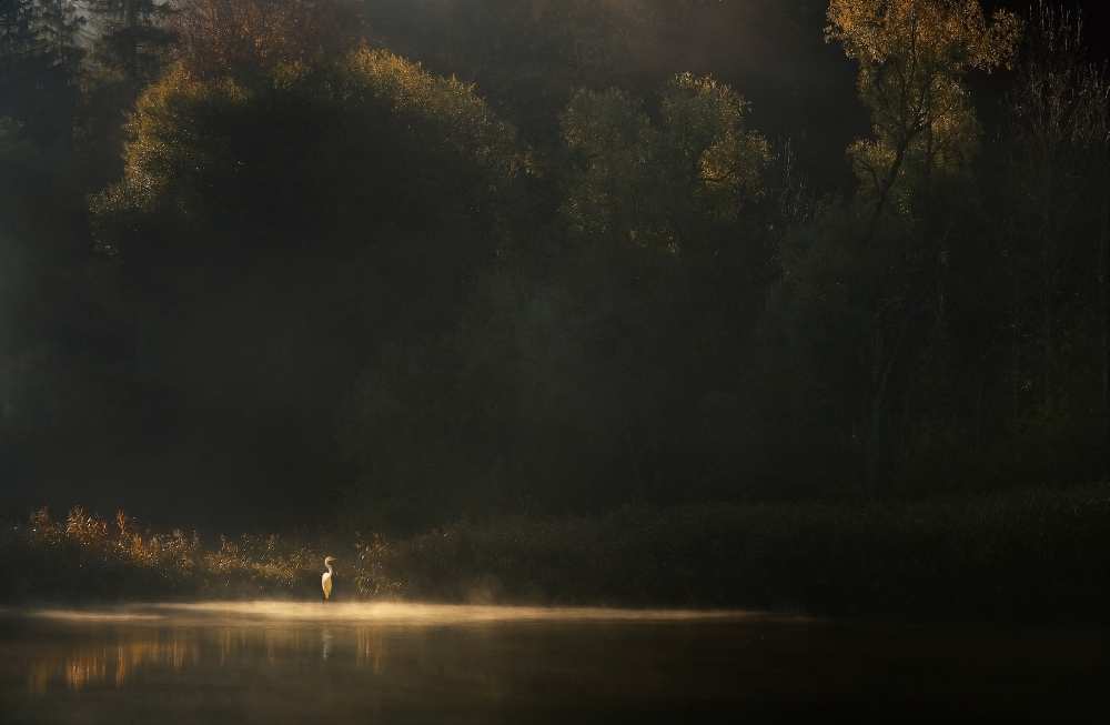 Down by the River von Norbert Maier