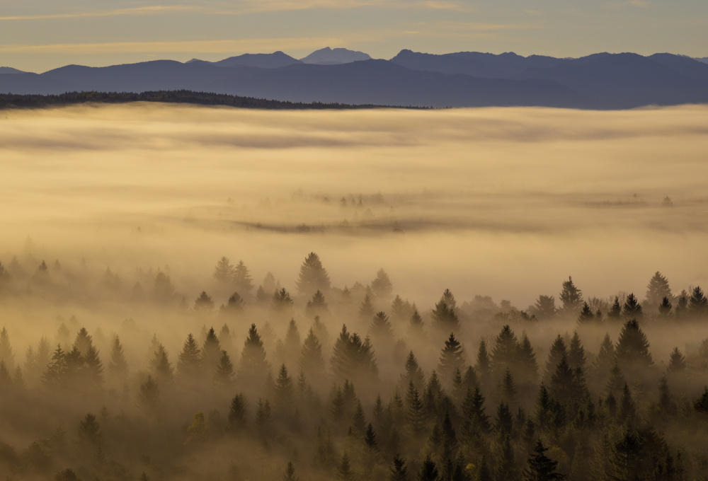 Right before sunrise von Norbert Maier