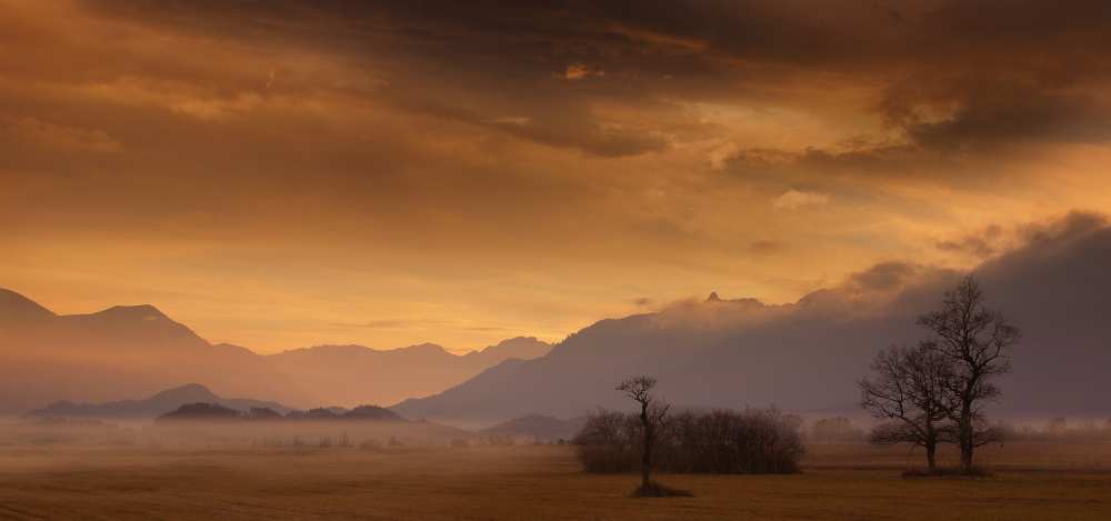 late october late afternoon von Norbert Maier