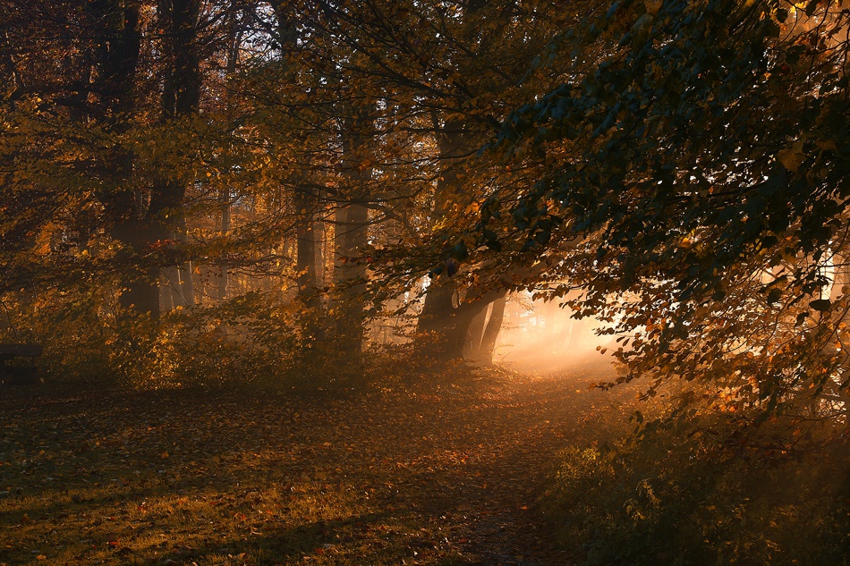 October von Norbert Maier