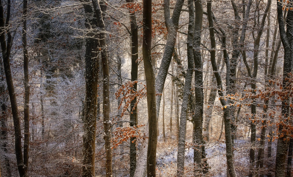 october snow von Norbert Maier