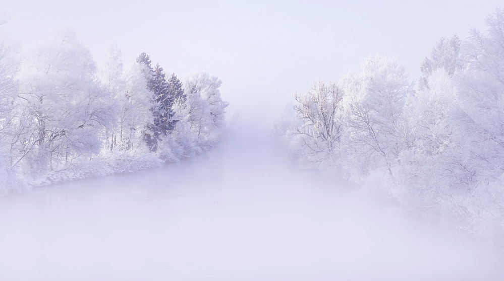 Deep Winter von Norbert Maier