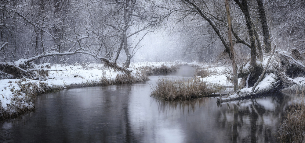 Winter Creek von Norbert Maier