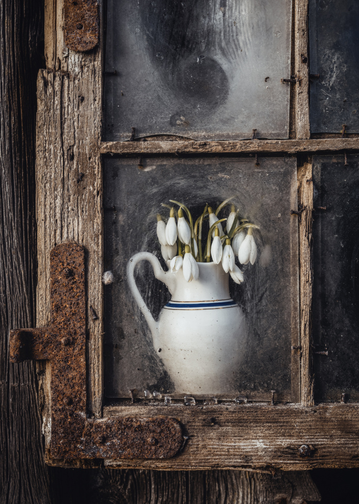 Spring flowers in the window von Normunds Kaprano