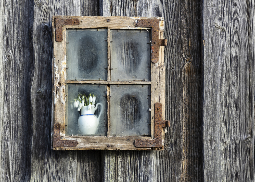 Spring flowers in the window von Normunds Kaprano