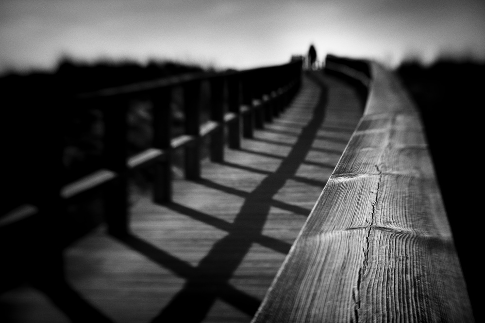 Lonely Rails von Nuno Borges