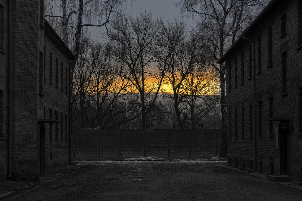 sunrise in Auschwitz von Oana Grigore