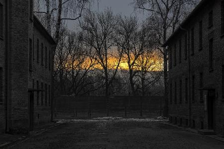 sunrise in Auschwitz