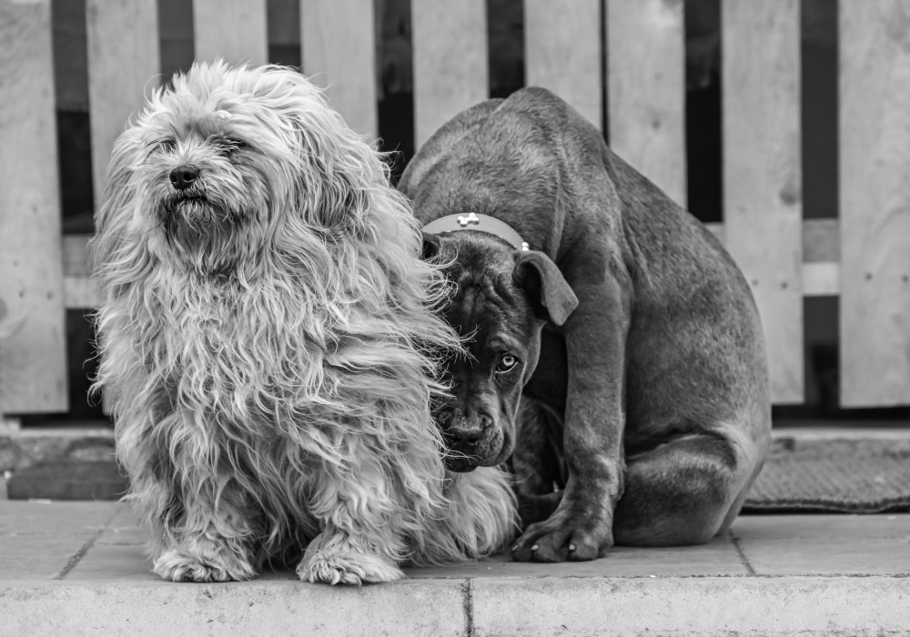 Hiding von Oana Vasileniuc