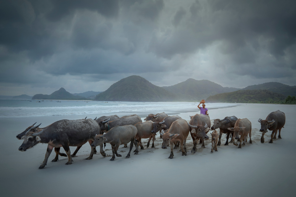 Selong Belanak Beach von octavandy