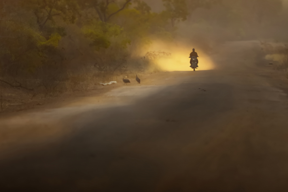 Rider on the Dust von Oddfeel