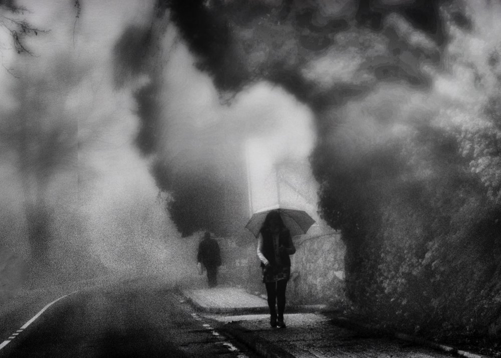 Walking in the Fog von Ömer Ateş Kızıltuğ