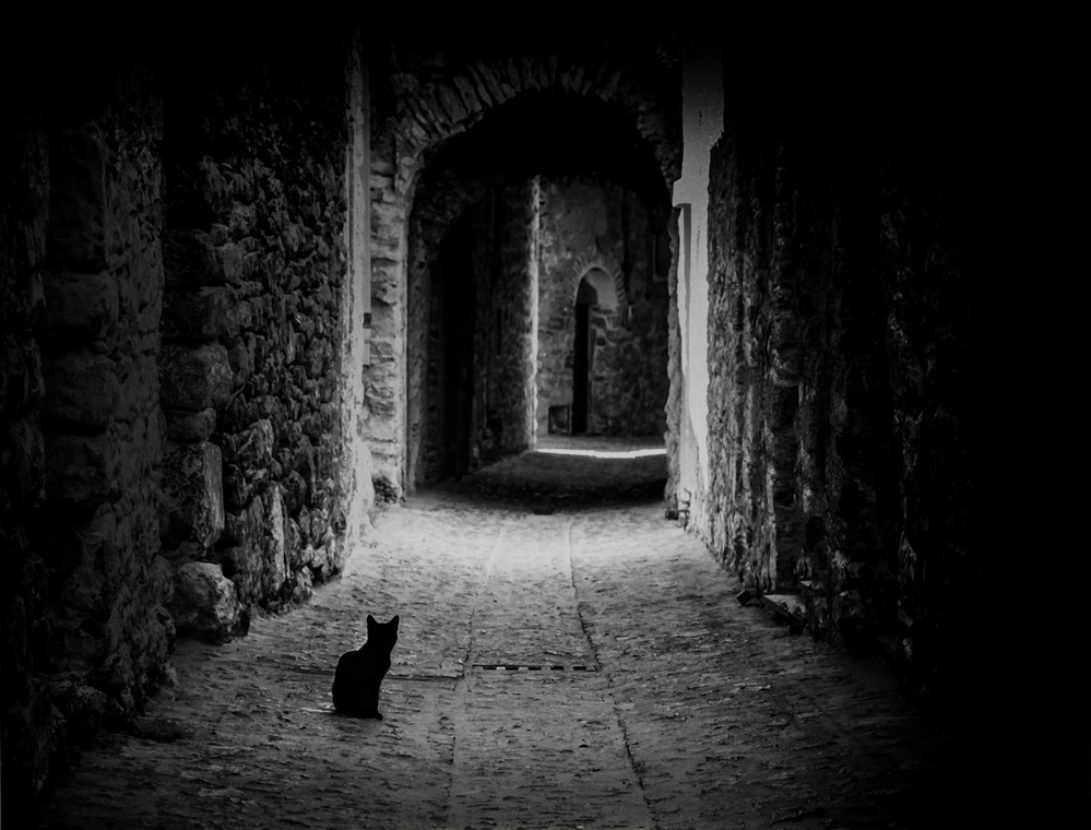 Black Cat Path von Ömer Ateş Kızıltuğ