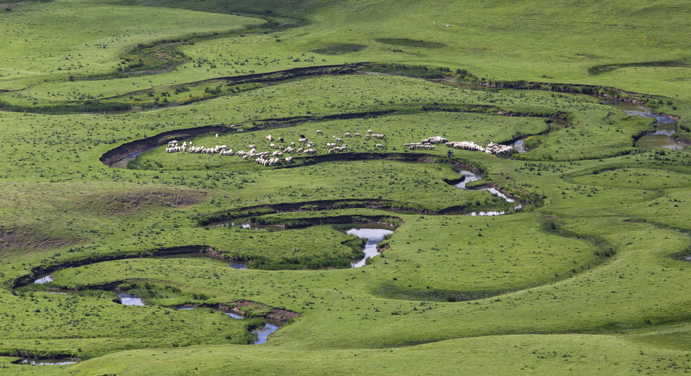 The Meander von Özden Sözen