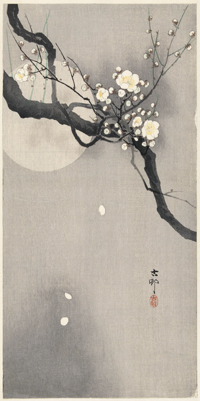 Pflaumenblüte bei Vollmond von Ohara Shôson