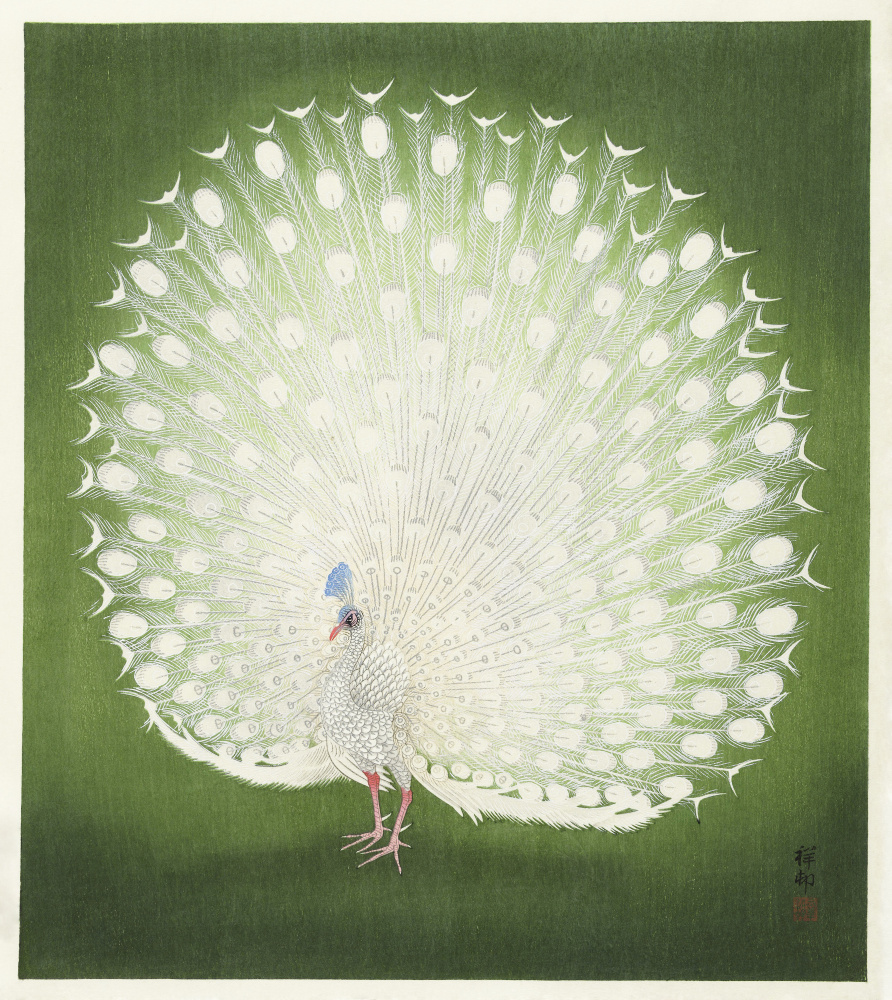 Peacock von Ohara Shôson