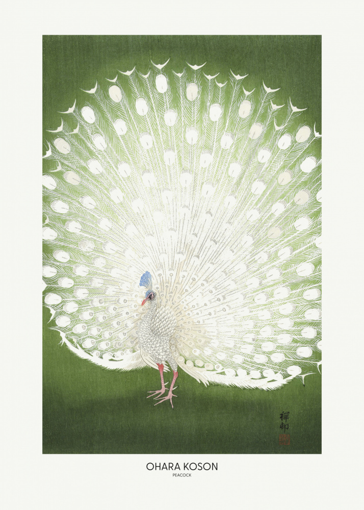 Peacock - Cropped von Ohara Shôson