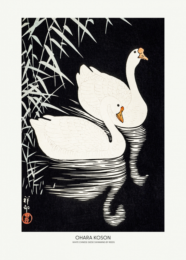 White Chinese Geese Swimming by Reeds von Ohara Shôson