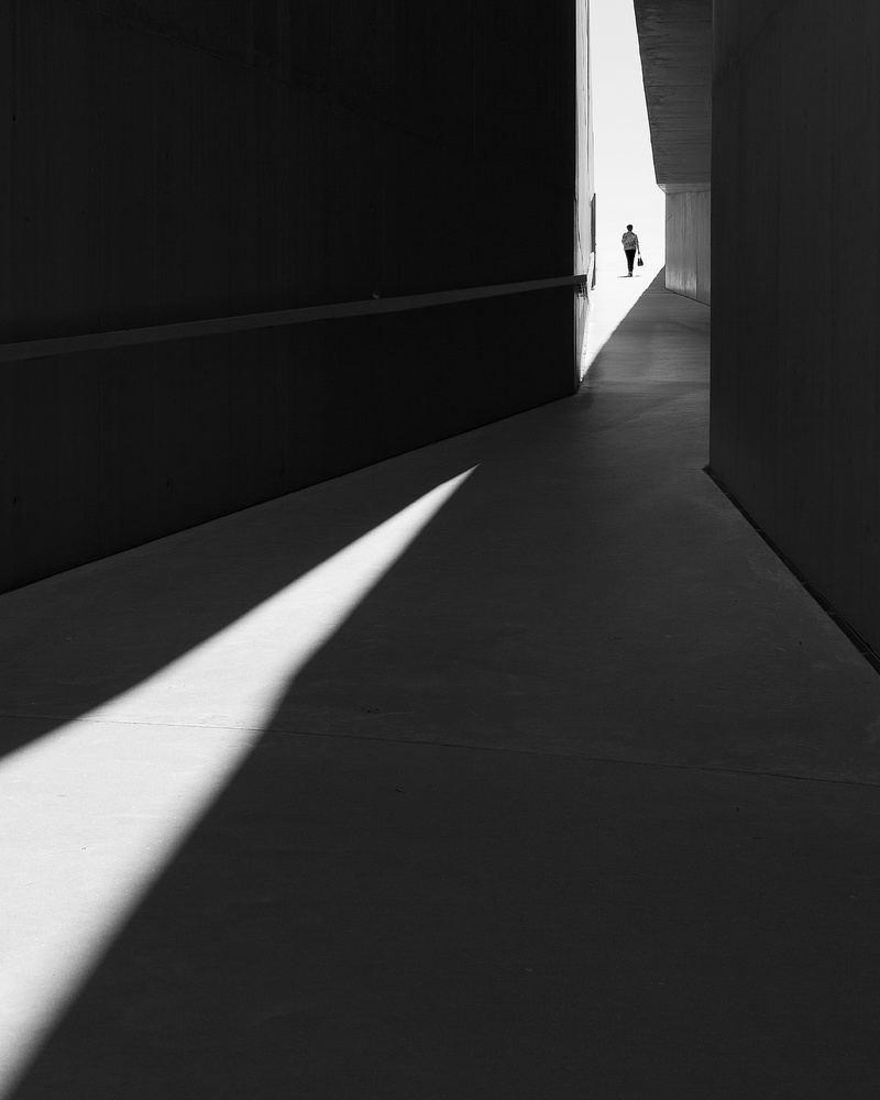 LIGHT AND SHADOW von Olavo Azevedo