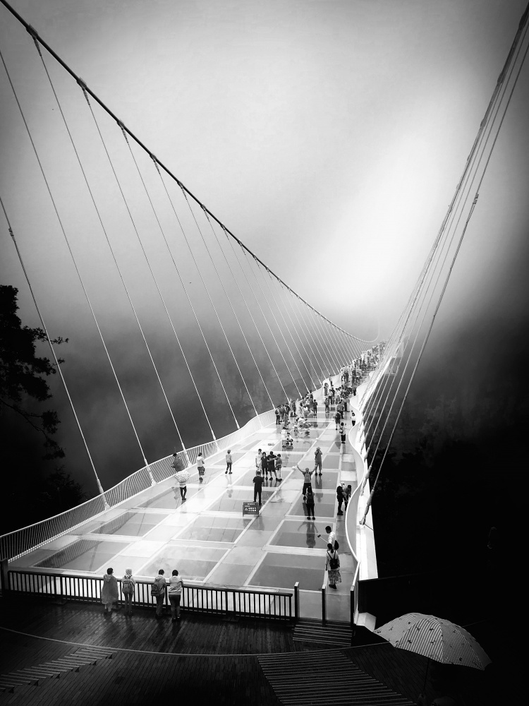 Crossing the bridge von Olavo Azevedo