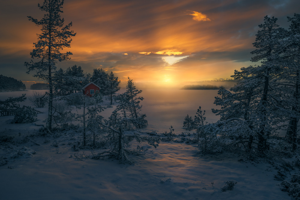 The Carpet von Ole Henrik Skjelstad